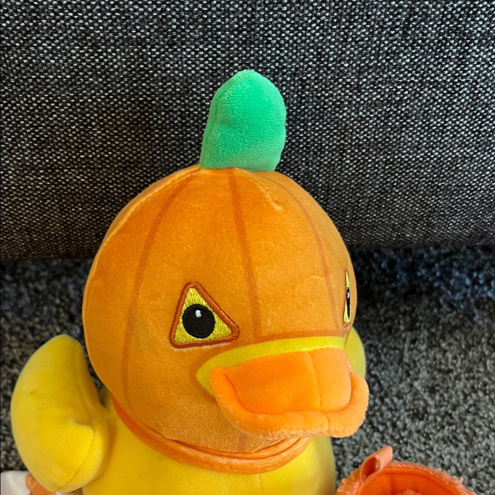Baby pumpkin bundle - Picture 4 of 12